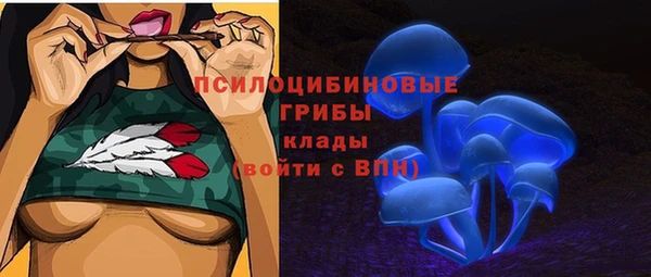 хмурый Богородицк
