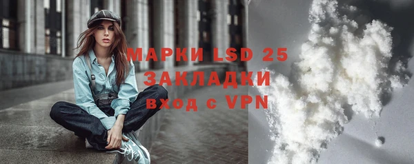 хмурый Богородск