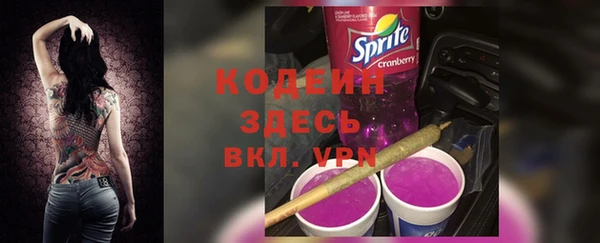 хмурый Богородицк