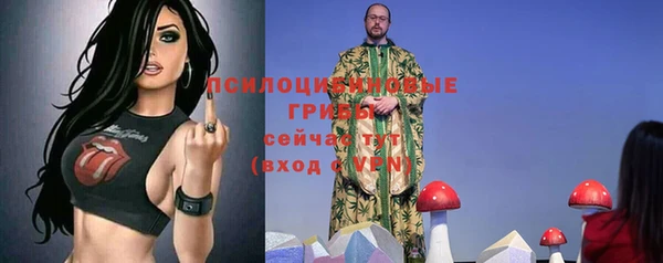 хмурый Богородицк