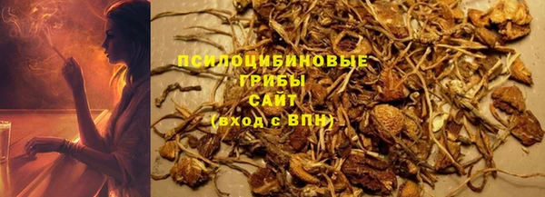 хмурый Богородицк