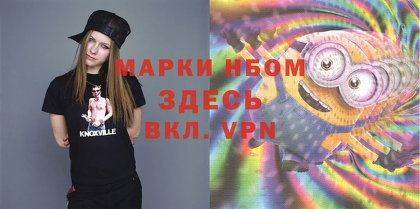 хмурый Богородицк