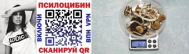 Галлюциногенные грибы MAGIC MUSHROOMS купить цена Петропавловск-Камчатский